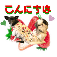 [LINEスタンプ] 狆の露伴と狆チワ紅緒の日常系スタンプ