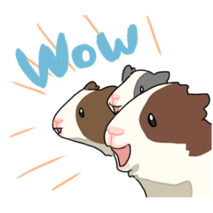 [LINEスタンプ] 英語モルモット三姉妹！