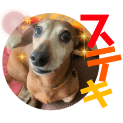 [LINEスタンプ] 桃ちスタンプ 3
