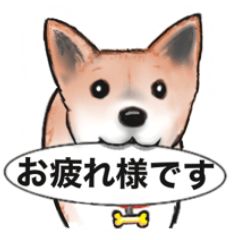 [LINEスタンプ] 保護犬の空(くう)ちゃん【敬語】