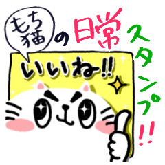 [LINEスタンプ] もち猫の日常スタンプの画像（メイン）