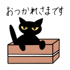 [LINEスタンプ] めつきの悪い黒猫