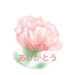 [LINEスタンプ] お花と花言葉スタンプ