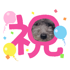 [LINEスタンプ] 春のめいちゃんスタンプ
