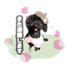 [LINEスタンプ] 黒豆さんのスタンプ2