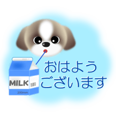 [LINEスタンプ] シーズー犬『ももた』の日常【挨拶・応援】