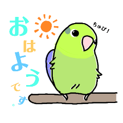 [LINEスタンプ] セキセイさんとマメルリちゃん マメルリ①