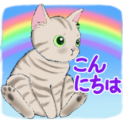 [LINEスタンプ] ネコのあいさつスタンプ