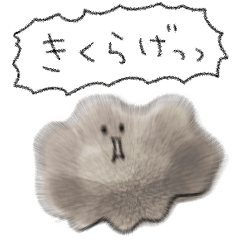 [LINEスタンプ] シンプル きくらげ 日常会話