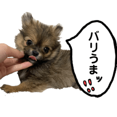 [LINEスタンプ] すいかはん