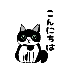 [LINEスタンプ] ハチワレちゃんスタンプw