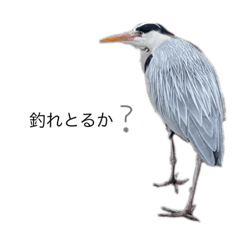 [LINEスタンプ] せなか。(鳥)