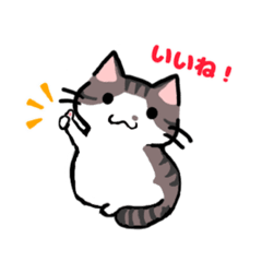 [LINEスタンプ] 猫の愛ちゃん