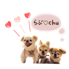 [LINEスタンプ] ♡ぺき夫とちわ子とつぶみ♡