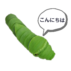 [LINEスタンプ] アゲハのいもむし ていねい