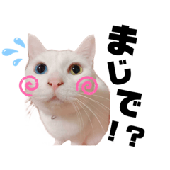[LINEスタンプ] アランふぁみりー