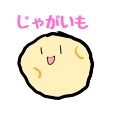 [LINEスタンプ] まるいくんのすたんぷ