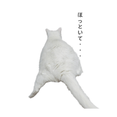 [LINEスタンプ] にゃんにゃんにゃんこの日常