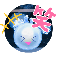 [LINEスタンプ] まるい水族館 写真版