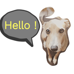 [LINEスタンプ] IGモネホーク
