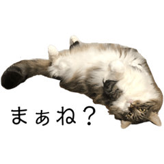 [LINEスタンプ] リジー様スタンプ