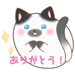 [LINEスタンプ] りえと丸猫