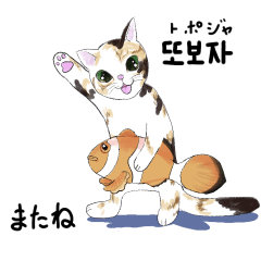 [LINEスタンプ] かわいい猫と水辺の生き物たち