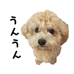 [LINEスタンプ] 永遠のパピー。ふく