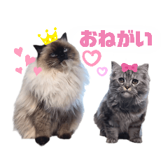 [LINEスタンプ] LUNA ＆ DIANA 第2弾
