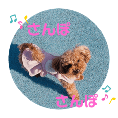 [LINEスタンプ] あづきぱーと13