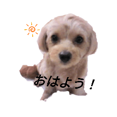 [LINEスタンプ] REO（レオ）くんスタンプ fetchpriority=high