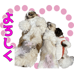 [LINEスタンプ] 10Dogs