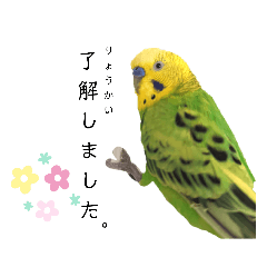 [LINEスタンプ] ピピ君の敬語