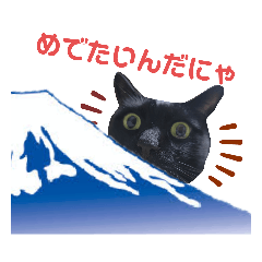 [LINEスタンプ] イエネコ5兄弟