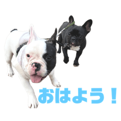 [LINEスタンプ] ぺしゅとテンの日常