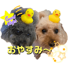 [LINEスタンプ] 矢作さんちのゆずあんスタンプ