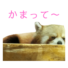 [LINEスタンプ] いしかわ動物園 動物スタンプ 2