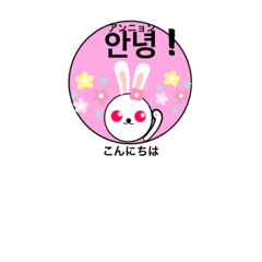 [LINEスタンプ] 韓国語で友達に挨拶 Greetings in Korean