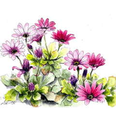 [LINEスタンプ] 40種類の季節の花