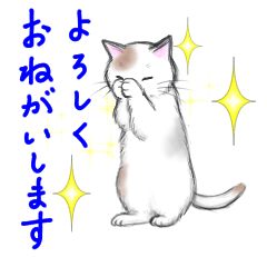 [LINEスタンプ] ネコたちに癒されちゃうスタンプです