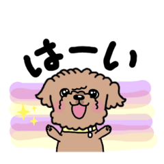 [LINEスタンプ] 老眼さん大丈夫！トイプースタンプ