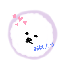 [LINEスタンプ] ビションフリーゼBF