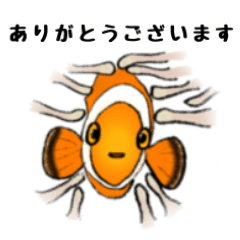 [LINEスタンプ] 【大人気】ダイバーのためのダイビングの魚