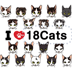 [LINEスタンプ] 18猫のメッセージスタンプ