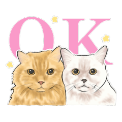 [LINEスタンプ] うちの猫s