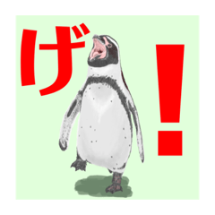 [LINEスタンプ] 神在月のペンギンスタンプ8