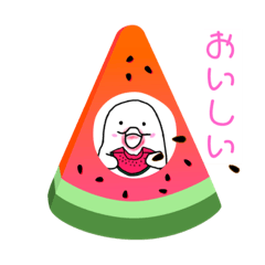 [LINEスタンプ] シロイルカの夏スタンプ