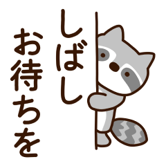 [LINEスタンプ] アライグマのあらいちゃん3