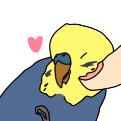 [LINEスタンプ] 青と黄色のセキセイインコ