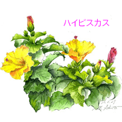 [LINEスタンプ] 40種類の手描きの季節の花（和名付き）